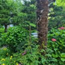 보금공인중개사사무소 이미지