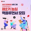 농심 먹플루언서 들어봤니? 숏폼 크리에이터 무료 양성 프로그램