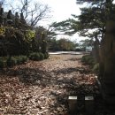 김삿갓면-23 이미지