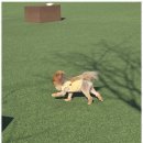 집에서도 간단히 반려견 미용 이미지