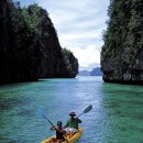 비체올린 이미지