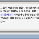 알파랜드