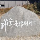 대숲글램핑장 이미지