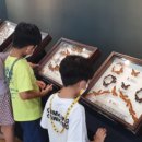 희망작은도서관 이미지