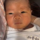 연호 이미지