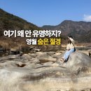 요선정 | 여기 왜 안 유명하지? 영월 가볼만한곳 요선암 돌개구멍 요선정