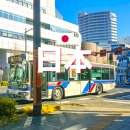 현청과 | 일본 이바라키 여행 현청 무료 전망대 로세오 쇼핑몰