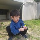 경원유치원 이미지