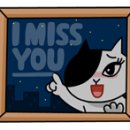 앞개포구 이미지