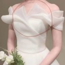 원대세탁소 | 성공한 알리 드레스 구매 후기(2벌) / 6만원대 웨딩드레스 / 셀프 웨딩 드레스 추천