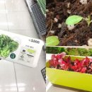 고기친구 이미지