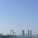 소나무언덕2호 | 부산 모모스 커피 ☕️ 도모헌점 / 세계 100대 카페 💯 모모스커피/재벌집 막내아들 촬영장소 📺