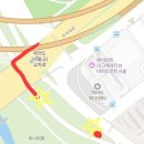 왕숙천둔치공원(무대광장) | 여의도 샛강역 벚꽃 개화현황 실시간/시간대별 혼잡도 + 사람 적은 포토스팟 총정리!
