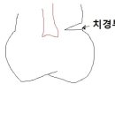 신 치과의원 이미지