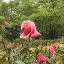 송도 해돋이공원 이미지