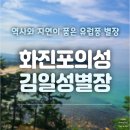 그 사람의 별장 | [고성여행] 김일성 별장 역사와 자연이 공존하는 곳 통합권 후기