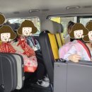 한국체대 효자효녀 태권도 이미지