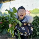 꽃무지풀무지유치원 이미지