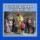 즐거운 자동차 마을 | 금산 보곡산골 산벚꽃 축제 아이와 가볼만한곳 벚꽃 출사 후기