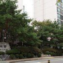 백두공인중개사사무소 이미지