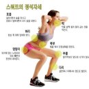 애플힙 짐 이미지