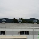 부경축산물도매센터 이미지