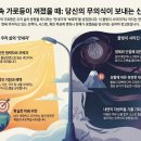 불빛
