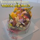 티타임정하점 | 대구 용산 카페오지ㅡ생과일과 생화가 듬뿍 올려진 아름답고 맛좋은 미니모둠케익 후기