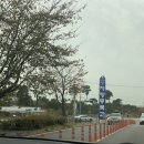 고양시 차량등록사업소 | [고양시 차량등록사업소] 차 번호판 불량 무상교체후기
