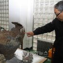 도기도기 이미지