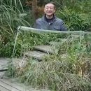 투명망토 이미지