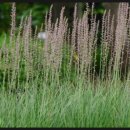 한림유기산업 | 피부 모공 늘어짐에 앰플, 세럼, 에센스 뭐가 좋을까?