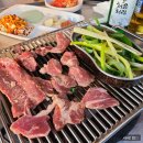 난쟁이돼지부속
