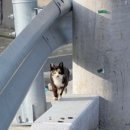 웅동2동행정복지센터 이미지