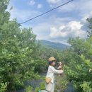 은우농장 이미지