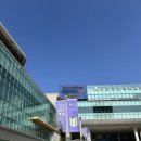 작가의선물 - 종로구 인사동5길 10 | 동탄 복합문화센터 중견작가 기획전 작가의 선물가게 무료전시 체험후기
