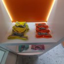 켈리 독, 강남 애견호텔 애견유치원 이미지