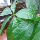 송학한의원 이미지