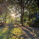 달려라 해피 이미지