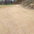 오성골프클럽 이미지