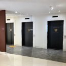 티트리치과의원 이미지