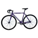 픽시코리아 이미지