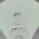 에이스자동차유리 | 향남차유리용접ㅣ돌빵 복원 늦기 전에 수리한 실제 후기 에이스 자동차