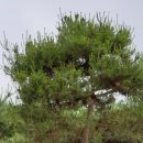 조형마트 이미지