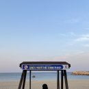 베니분식