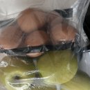 올리부스 꼼파뇨