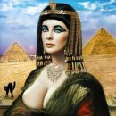 로그성형외과의원 이미지