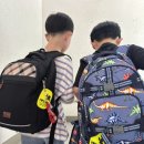 용인대단재태권도 이미지