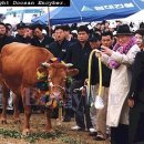 정주영 카카오 검색결과