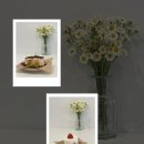 데이코지(Daycozy)